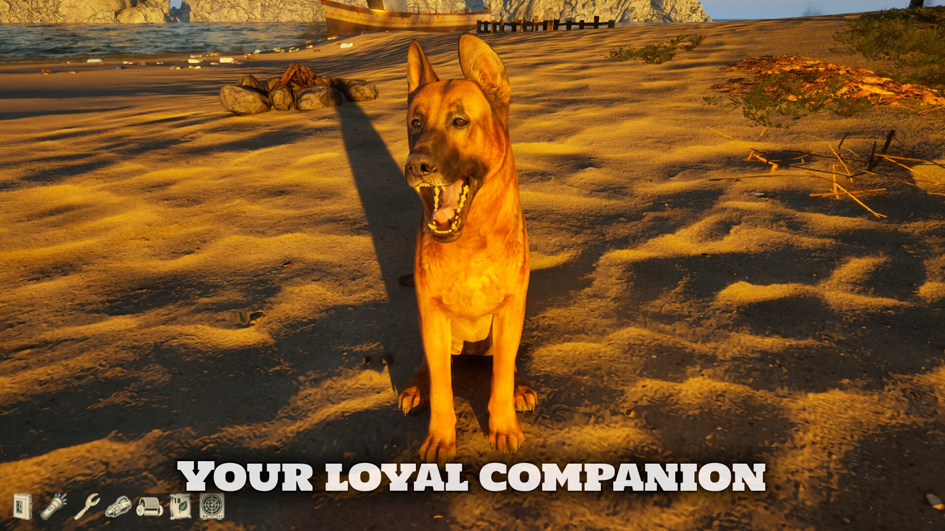 一人一狗修复你的岛屿 一人一狗修复你的岛屿