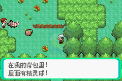 口袋妖怪最强进化（中文版）