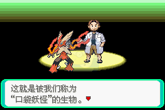口袋妖怪最强进化（中文版）