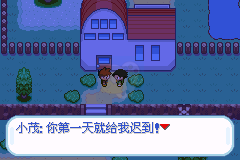 口袋妖怪圣灰（中文版）