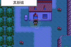 口袋妖怪圣灰（中文版）