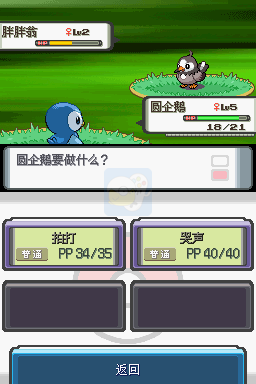 口袋妖怪钻石（汉化版）