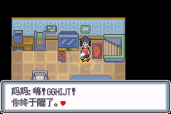 口袋妖怪白金光（汉化版）