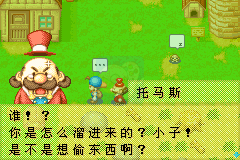 牧场物语矿石镇的伙伴们（Cgp&Emucn简体汉化版）