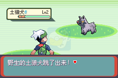 口袋妖怪绿宝石（口袋群星简体汉化版）