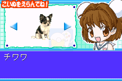 俄罗斯方块Advance(日版）