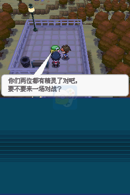 口袋妖怪梦之黑2（中文版）