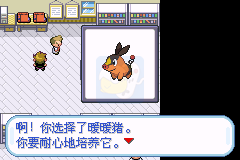 口袋妖怪圣光白（中文版）