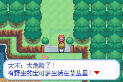 口袋妖怪圣光白（中文版）