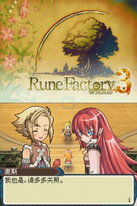 新牧场物语符文工房3（汉化版）