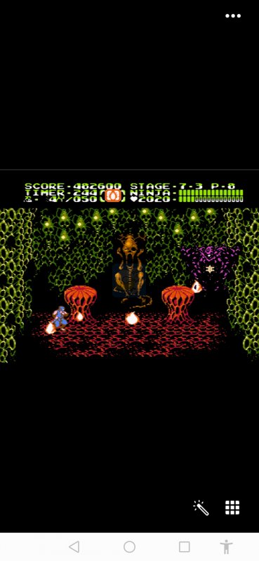 忍者龙剑传2hack阿木一坑版（日版）