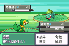 口袋妖怪漆黑的魅影v5.0无限可能（中文版）