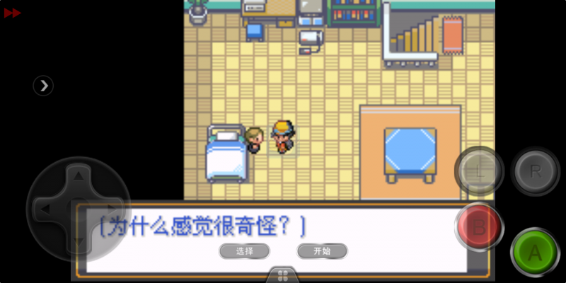 口袋妖怪迷失夜4（中文版）