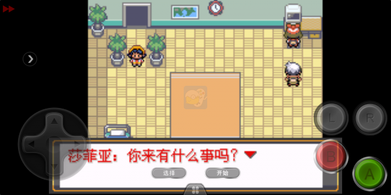 口袋妖怪迷失夜4（中文版）