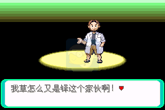 口袋妖怪破碎石（中文版）