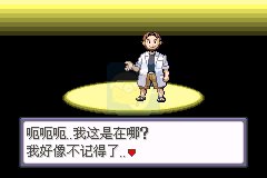 口袋妖怪蛇纹木（汉化版）