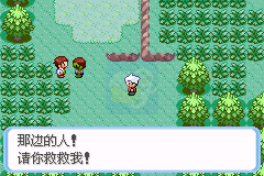 口袋妖怪蛇纹木（汉化版）