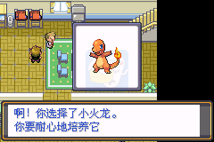 口袋妖怪夙愿（中文版）