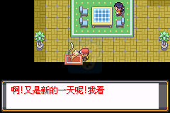 口袋妖怪夙愿（中文版）