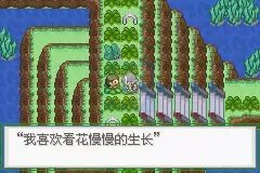 口袋妖怪生或死（中文版）