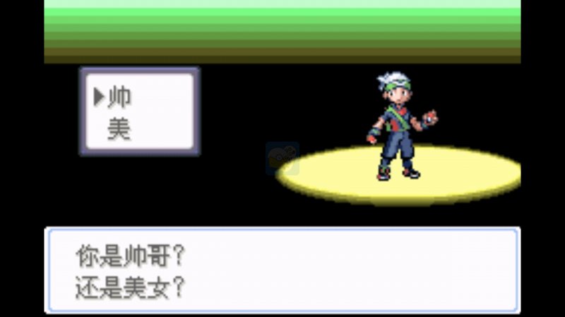口袋妖怪雪之白4.0（中文版）