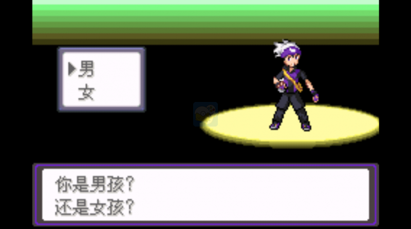 口袋妖怪漆黑的魅影无经验版（中文版）