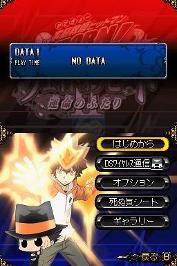 家庭教师HITMANREBORN！DS炎之命运2命运的二人（日版）
