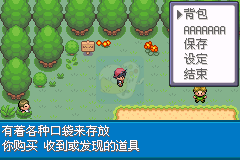 口袋妖怪赤特别篇（汉化版）