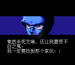 忍者龙剑传3hack(中文版)