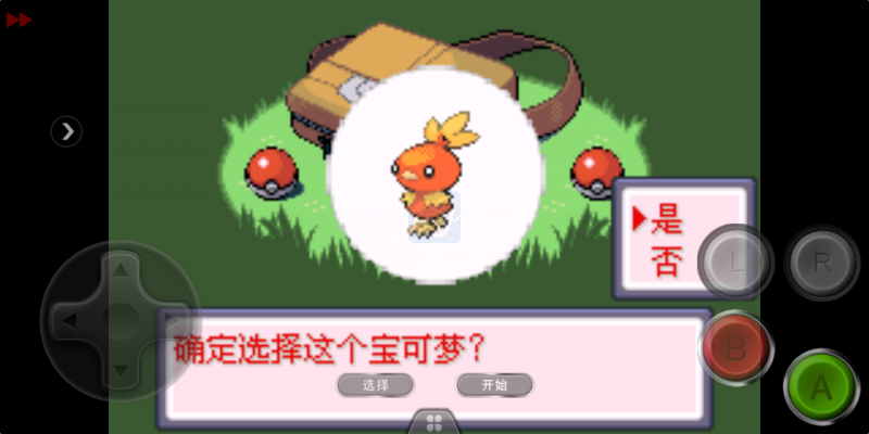 口袋妖怪迷失夜6（中文版）