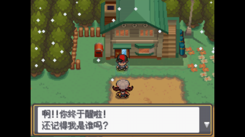 口袋妖怪启示录（中文版）