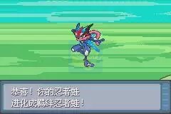 口袋妖怪生或死（中文版）