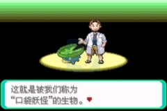 口袋妖怪荒芜的世界（中文版）