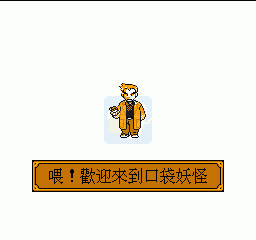 口袋精灵水晶（中文版）