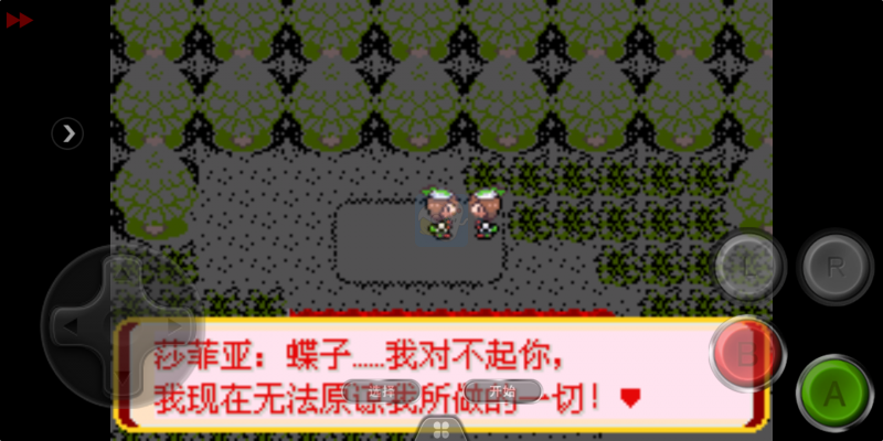 口袋妖怪迷失夜6（中文版）