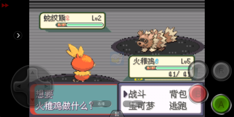 口袋妖怪迷失夜6（中文版）