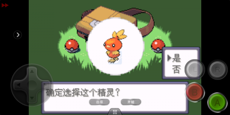 口袋妖怪忆梦之巅灭世章（中文版）