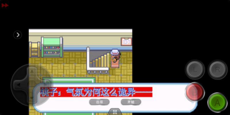 口袋妖怪迷失夜3（中文版）