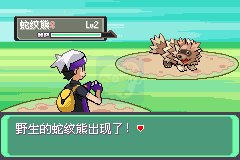 口袋妖怪漆黑的魅影5.0EX+DP（中文版）