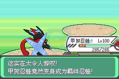 口袋妖怪究极绿宝石（中文版）