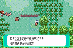 口袋妖怪玉如意（中文版）
