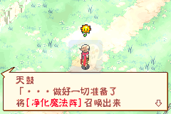 口袋妖怪织女星（汉化版）