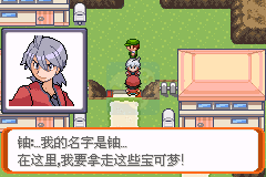 口袋妖怪胜利之火（中文版）