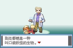 口袋妖怪永恒之焱zero（汉化版）