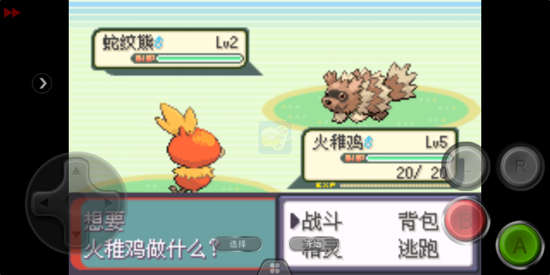 口袋妖怪忆梦之巅灭世章（中文版）