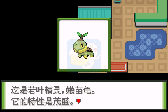 口袋妖怪大红（中文版）