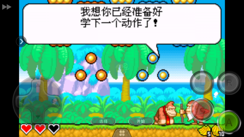 大金刚摇摆之王（中文版）