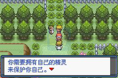 口袋妖怪宿命的轮回（中文版）