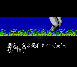 忍者龙剑传hack(中文版)