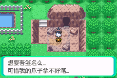 口袋妖怪心魂之羽（中文版）